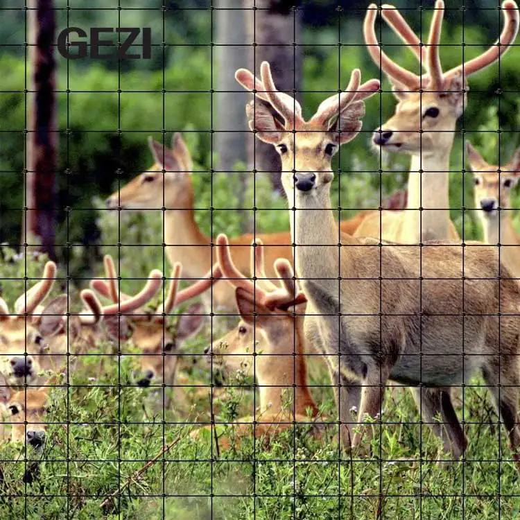 45gsm bird net netting anti white green nylon pp for berry fruit trees agricultural  fish pond blueberries prices manufacture