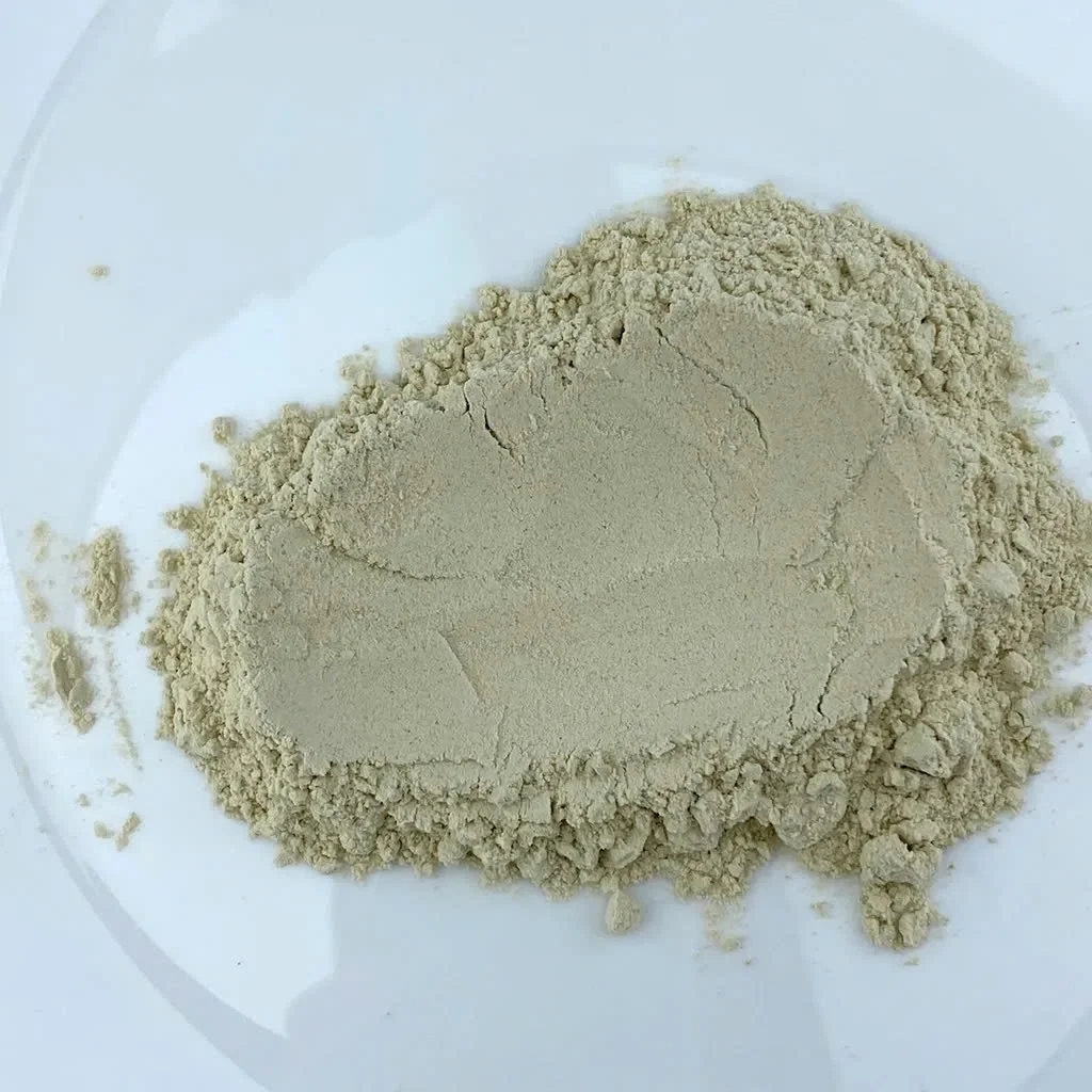 High Quality oyster powder for animal feed scallop shell powder