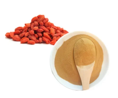 Pure Goji Berry Extract Supplement for Immune Support and Skin Health from Indian Supplier