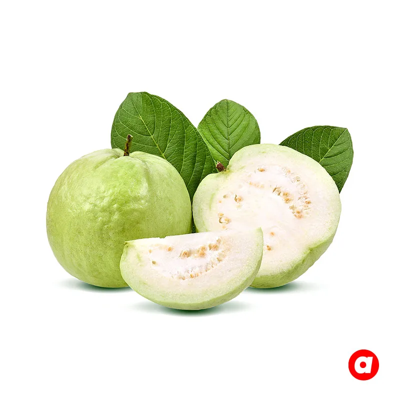 Fresh High Quality Guava Wholesale from Malaysia