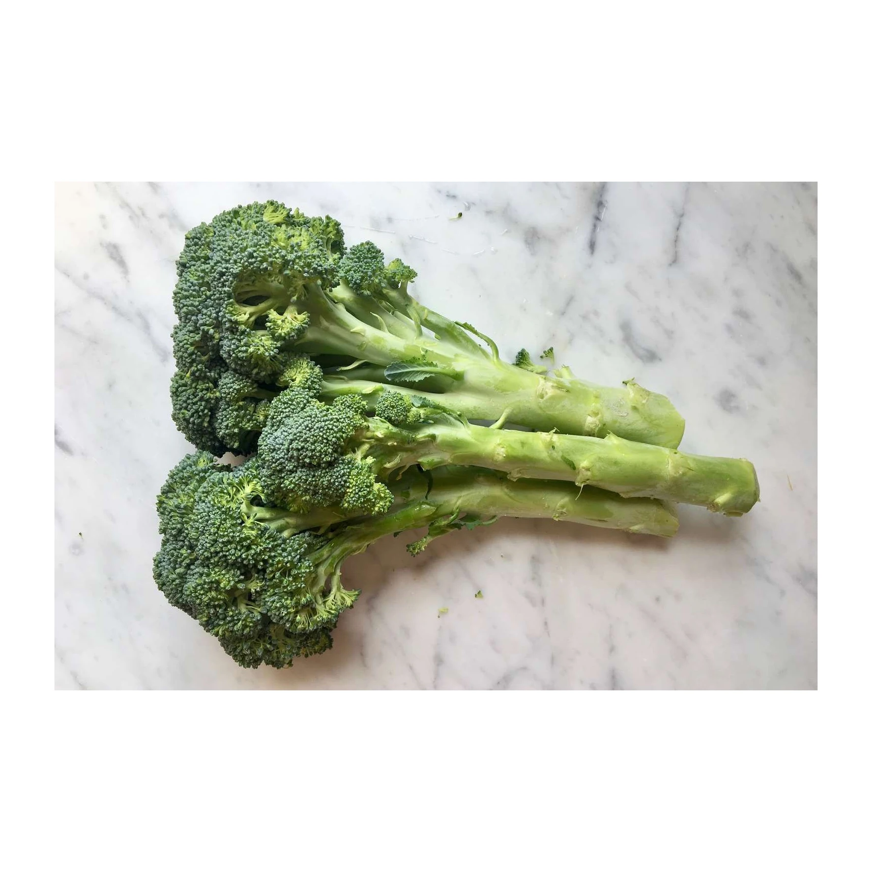 Top Grade High Quality Export Orient Wholesale Fresh Broccoli Hot Sale Fresh Broccoli Factory Low Price Broccoli