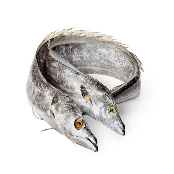 Cheap price Bulk style Wild Caught Supplier Packaging Frozen fish Frozen Red Grouper Sea Fish