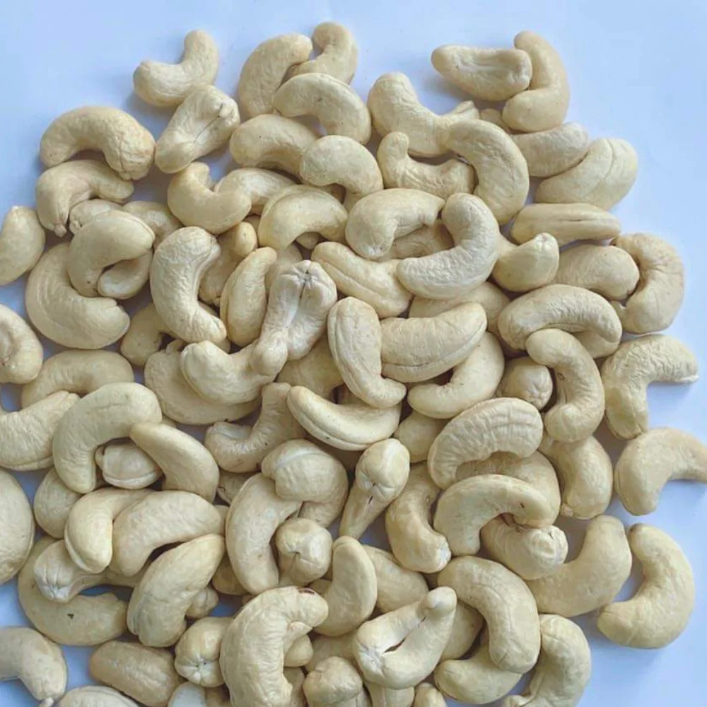 Roasted Cashew Nut Cashew Nut W320 Supplier Cashew Nuts Customized Packing