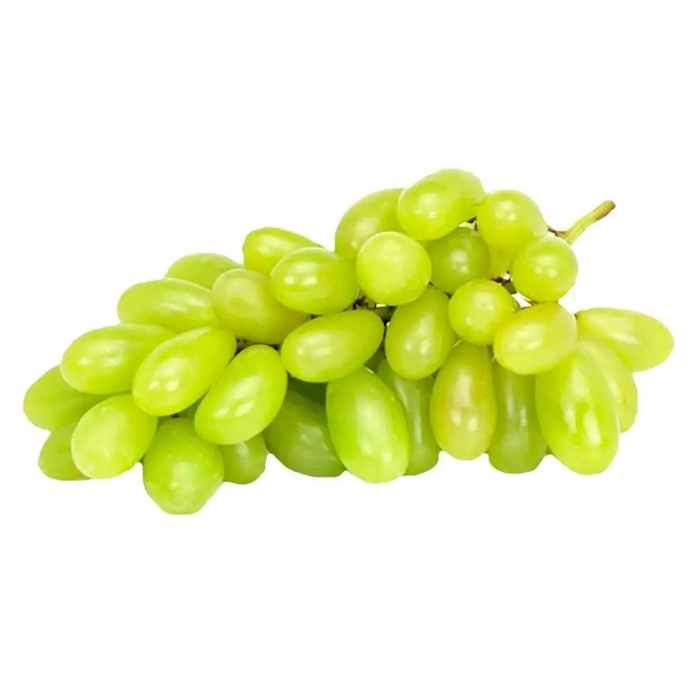 Fresh Grapes At Wholesale Prices For Export