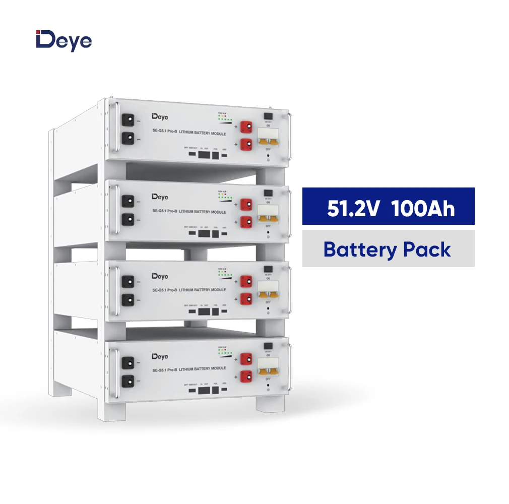 deye Lithium Ion Battery Rack 51.2V 5kwh 10kwh 15kwh rack mount battery 100Ah Lifepo4 Energy Storage Battery Deye SE-G5.1 Pro B