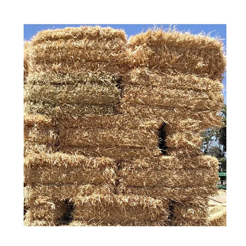 Продается в тюках для кормления животных сена из семяной или оптовой продажи овса сада травы