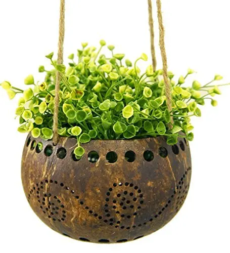FREE LOGO FOR COCONUT SHELL FLOWER POT/ COCONUT SHELL POT FOR FLOWER PLANTING OR GARDENING FROM VIET NAM
