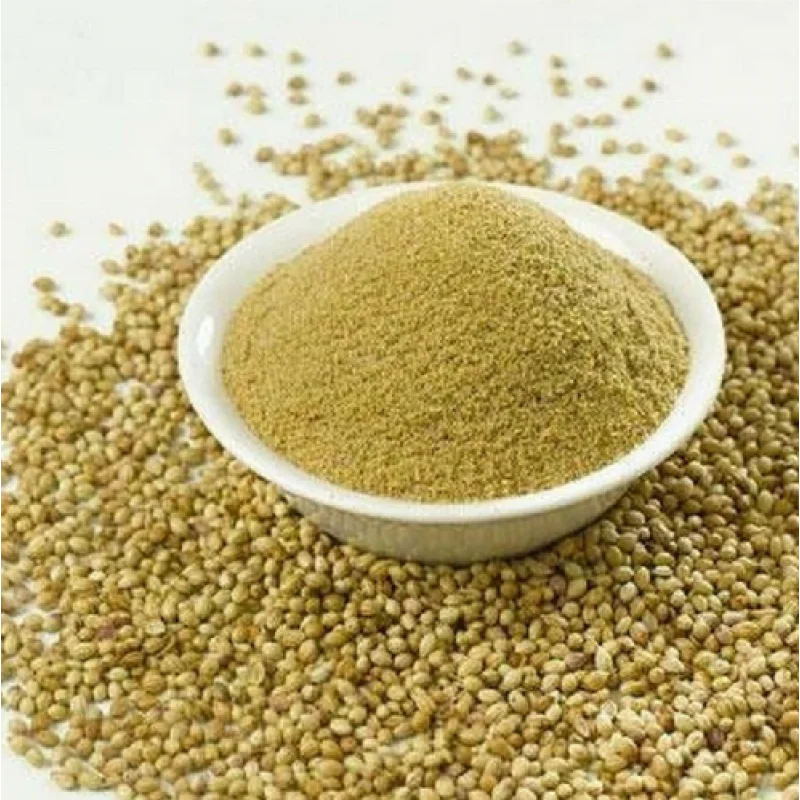 Indian Coriander Powder/Coriander Seeds Powder/Indian Spices Powder Packs!