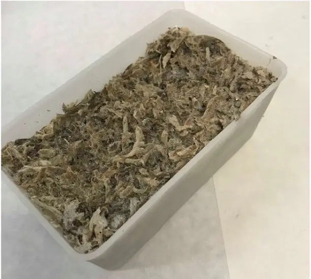 Пеллеты из сахарной свеклы