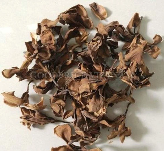Dried porcelain flowers from Vietnam / frangipani flower holiday
