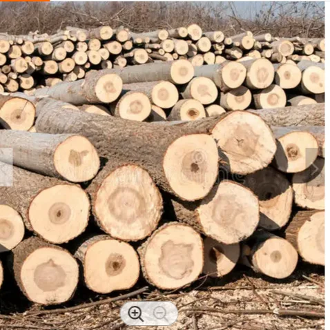 Pine Wood Logs Low Price eu