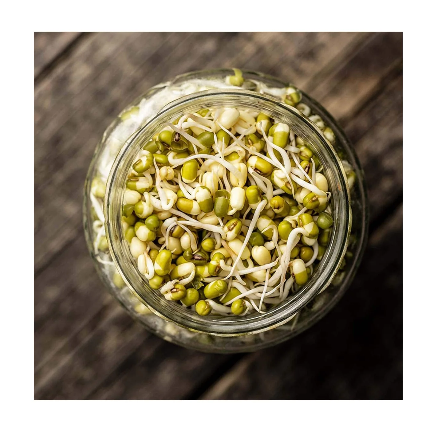 Высококачественные консервированные бобы мунг | Продажа консервированных продуктов по лучшей