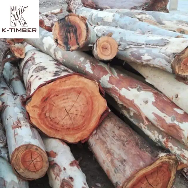 Eucalyptus Square Log From Africa Supplier Hardwood Floor Raw Materials Lumber Log Wooden Pallet Wood Boards Panel Timber