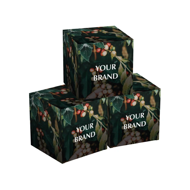 Private label high quality OEM 14 units box 7g medium roasted 70% arabica 30% robusta coffee capsules FAP system for home