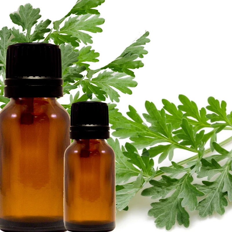 Armoise Essential Oil 100% Pure & Natural Essential Oils At Cheapest Price