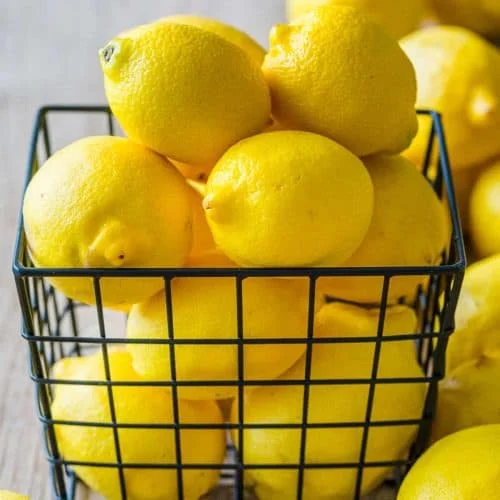 High Quality Fresh Green Seedless Lime / Farm Lemons for Export