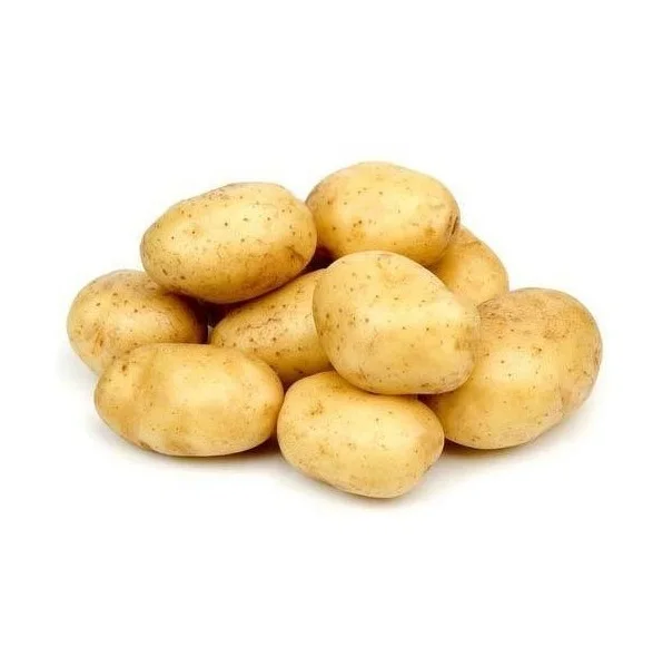 ON SALE 25Kg Fresh Irish Potatoes/ Farm Fresh Potatoes Exporters/Irish Potatoes