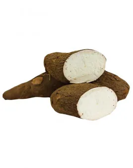 For Sale Low Price 100% Natural Fresh Cassava Chips Packed in Jumbo Bag From Sliced