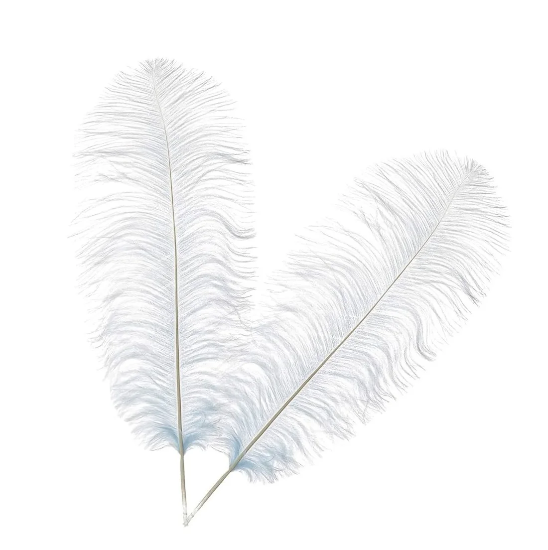 Оптовая продажа перо страуса натуральный/красочный