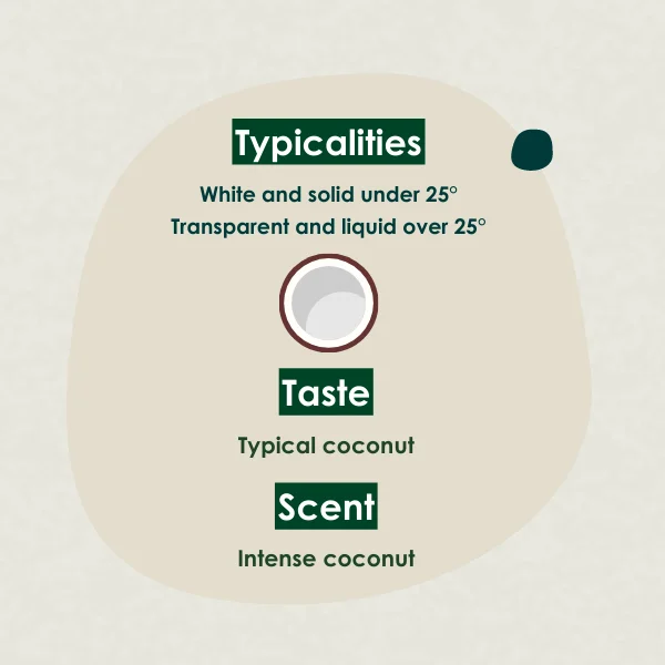 Premium Product Organic Extra Virgin Coconut Oil 500gr Jar | Vegan | Ready For Shipping | Top Quality | 100% Natural