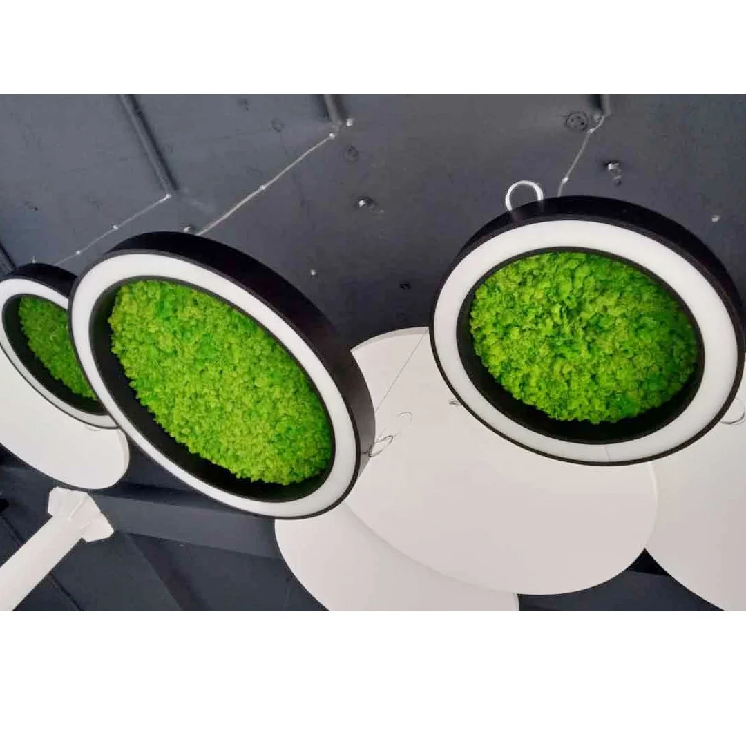 Green Moss Acoustic Noiseproof Acoustic DALI Dimming LED Circular Ring Chandelier Nordic for Kitchen Living Room Dining Room