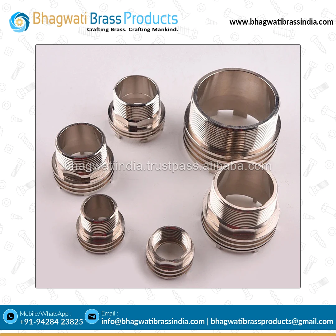 ISO Certified Best Selling Assured Quality Hardware Fasteners BSP Threaded Custom Size Brass PPR Inserts Nuts