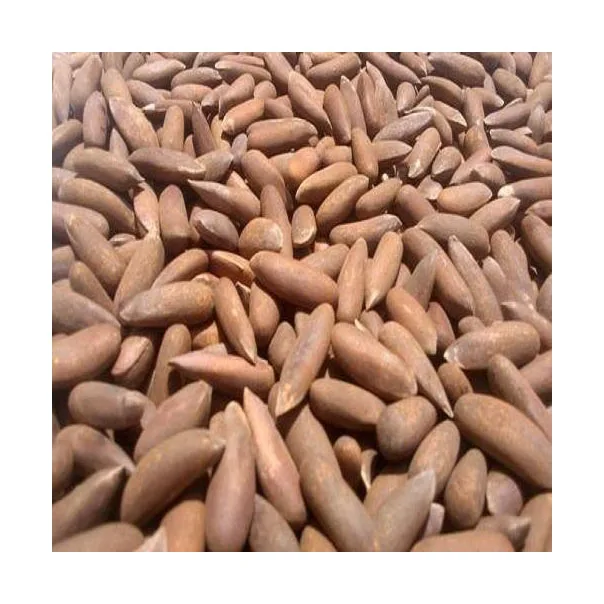 Wholesale Custom Private Label Food Grade Dried Product 50kg Bags 25tons 15days Pecan Nuts Halves