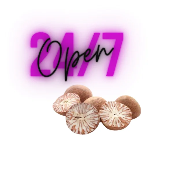 Betel Palm Areca Catechu for Snack Ingredients by Envico Bright Indonesia