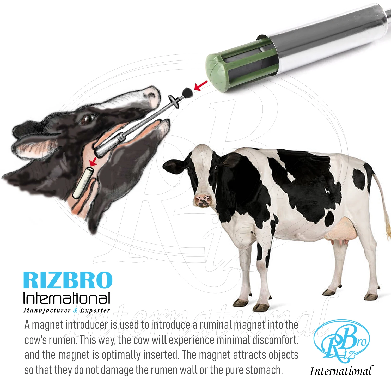 Ruminal professional cow magnet balling gun magnet introducer metal 39 x126 mm stainless steel  bovine balling gun for animals