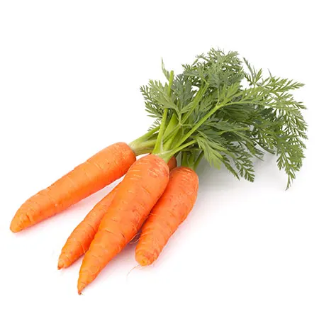 Экспорт Качественных свежих овощей, обычное выращивание, оранжевый натуральный сладкий свежий Морковь из Вьетнама (10000009721988)