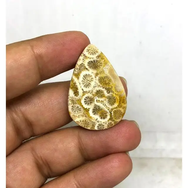 Best Price Beautiful Accessories Wholesale Price Cabochon Loose Gemstone Cabochon Fossilized Coral Gemstone for Jewelry  Making