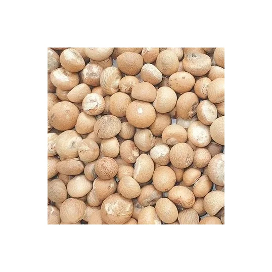 Top Quality Organic Export Oriented Areca Catechu Dried Betel Nut Color Brown Origin Betel Nut