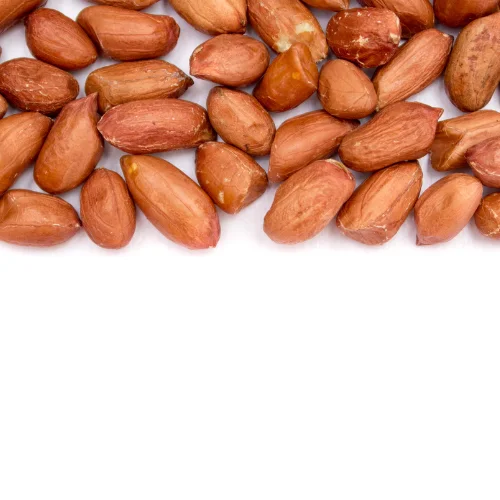 Wholesales High Quality New Product From Viet Nam Factory Price Raw White Peanut Bag 1 Ton Ready To Ship