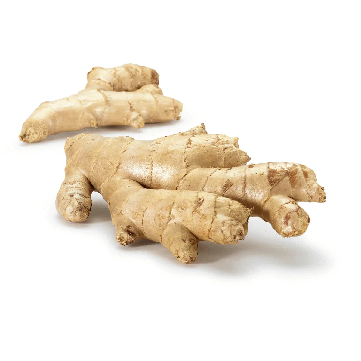 Wholesales 100% Organic Fresh Ginger The Cheapest Price Ginger Fresh Made in Vietnam Ready To Ship