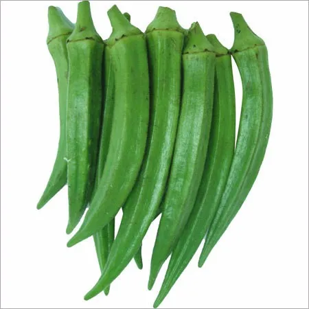 CHEAP PRICE BEST SELLER 100% ORGANIC VEGETABLE FRESH OKRA from VIETNAM with the BEST PRICE AND HIGH QUALITY IN 2022 (WHOLESALE)