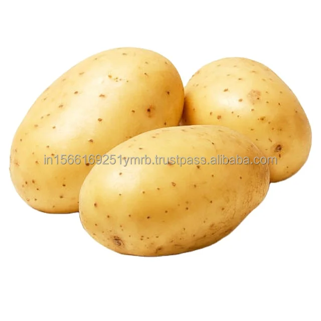 Good vegetable fresh potato export wholesale price Best Quality Fresh Potato/Vegetable Potatoes Grade A - Wholesale/Bulk Organic