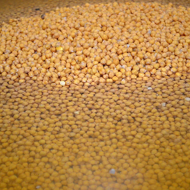 Canned Chick Peas Made in Spain Top Quality Healthy Pulses Ready to eat Cooked Chickpeas in jar 540g with Private Label