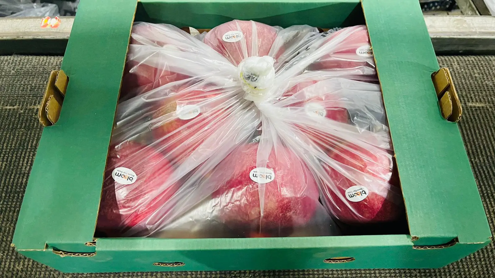 Supplier wholesale  new crop  pomegranate