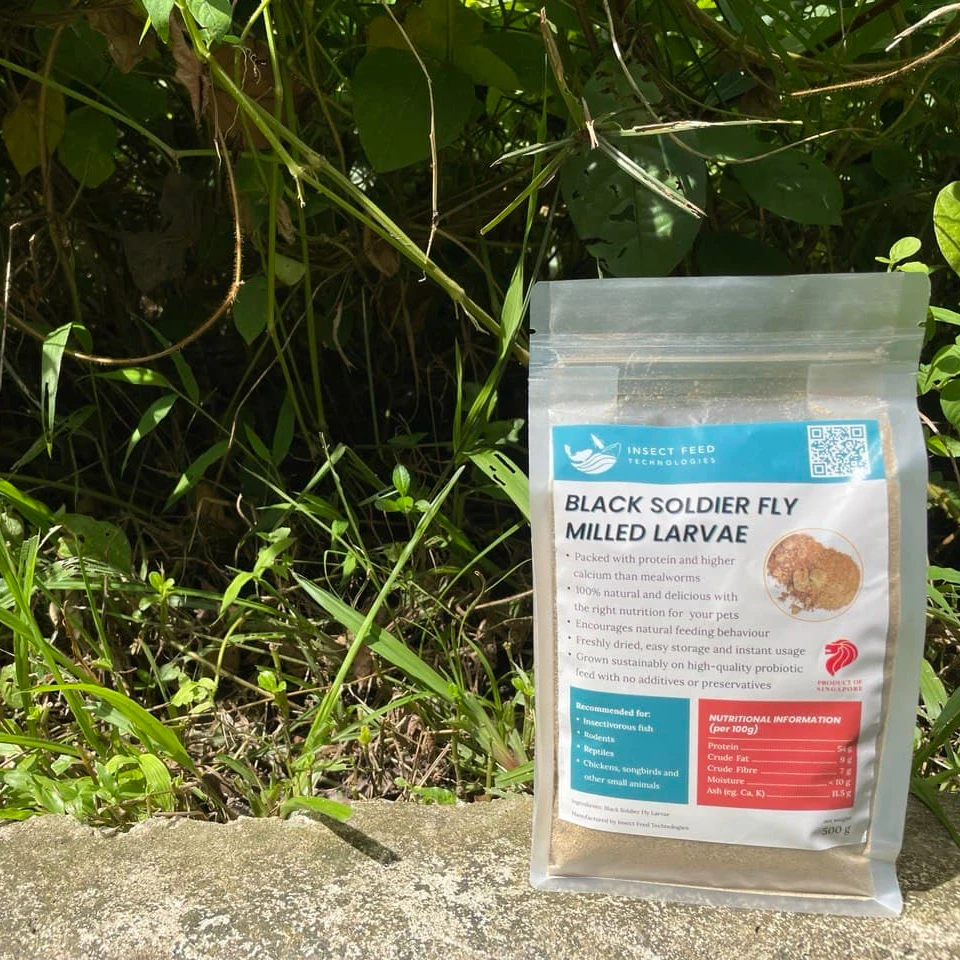 100% Natural Processed Milled Larvae Black Soldier Fly Insect Meal 500g for Professional Breeding of Pets