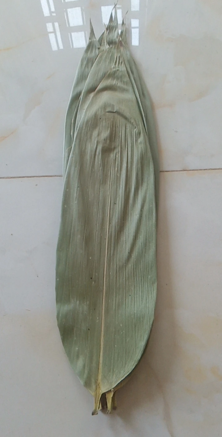 Wholesale Bamboo Leaves Artificial Bamboo Leaves For Exporting High Quality