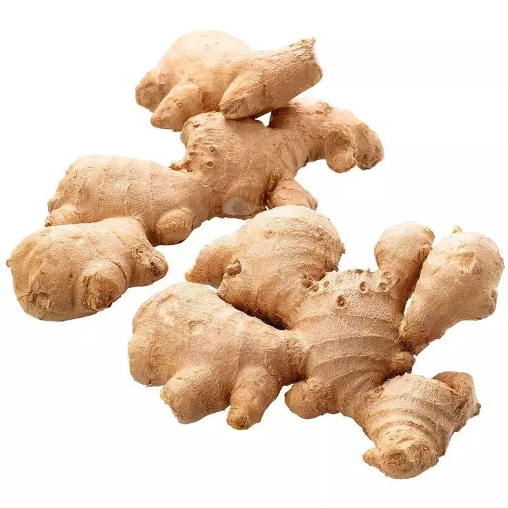 High Quality Fresh Ginger Market Price Per Ton Wholesale Ginger Buyers for Export in China Ginger Yellow Top Chinese