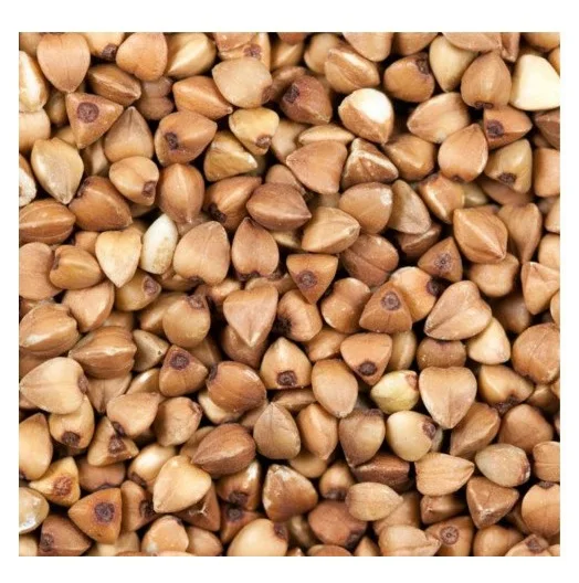 Bulk Stock Available Of Natural Organic Buckwheat/Roasted Buckwheat Kernels At Wholesale Prices