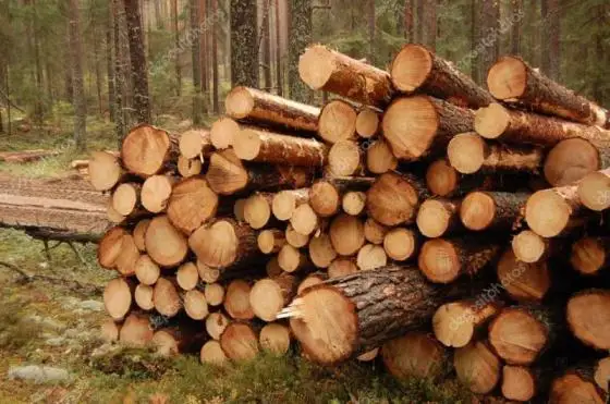 Строительный материал, резиновые деревянные бревна, натуральная твердая древесина