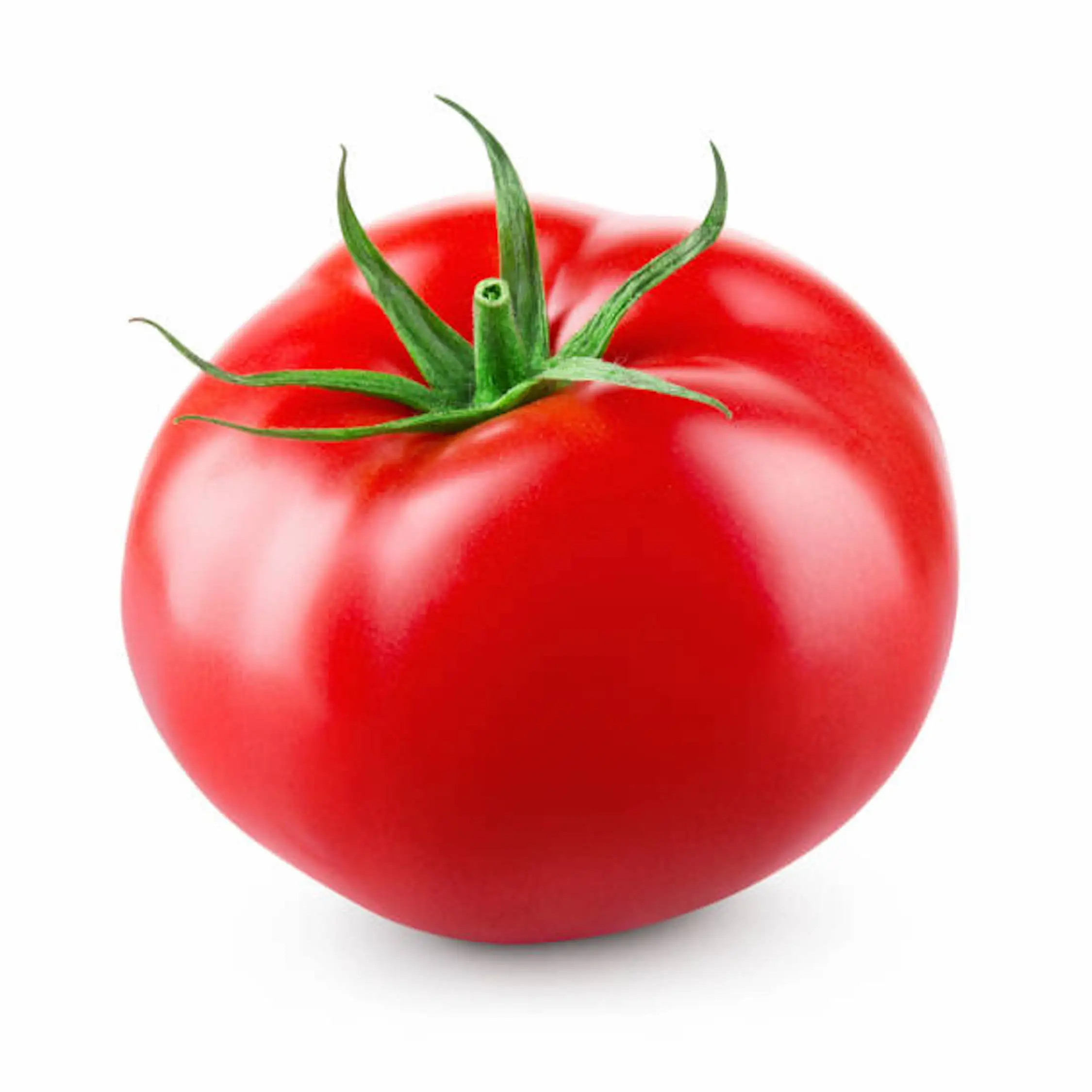 Fresh Delicious High Quality Red Tomato For Sales