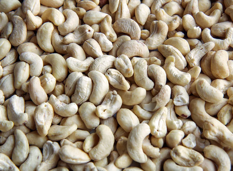 Buy Raw Cashew Nuts (500gm) / Organic Cashew Nuts Whole 1kg