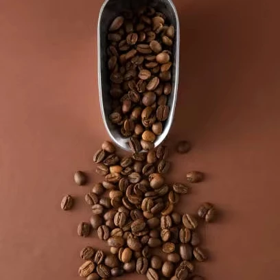 High Quality Dried Grade Cocoa Beans Powder Butter Premium Cacao/Chocolate Bean Supply for Trade Sale