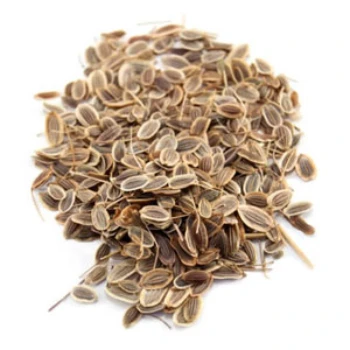 Best Selling Wholesale Anethum Graveolens Herbal Extract Powder Wild-Cultivated Leaf Pure Supplement at Best Price