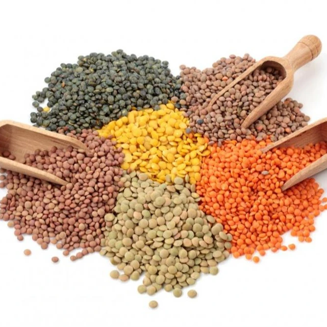 Organic Green Lentils
