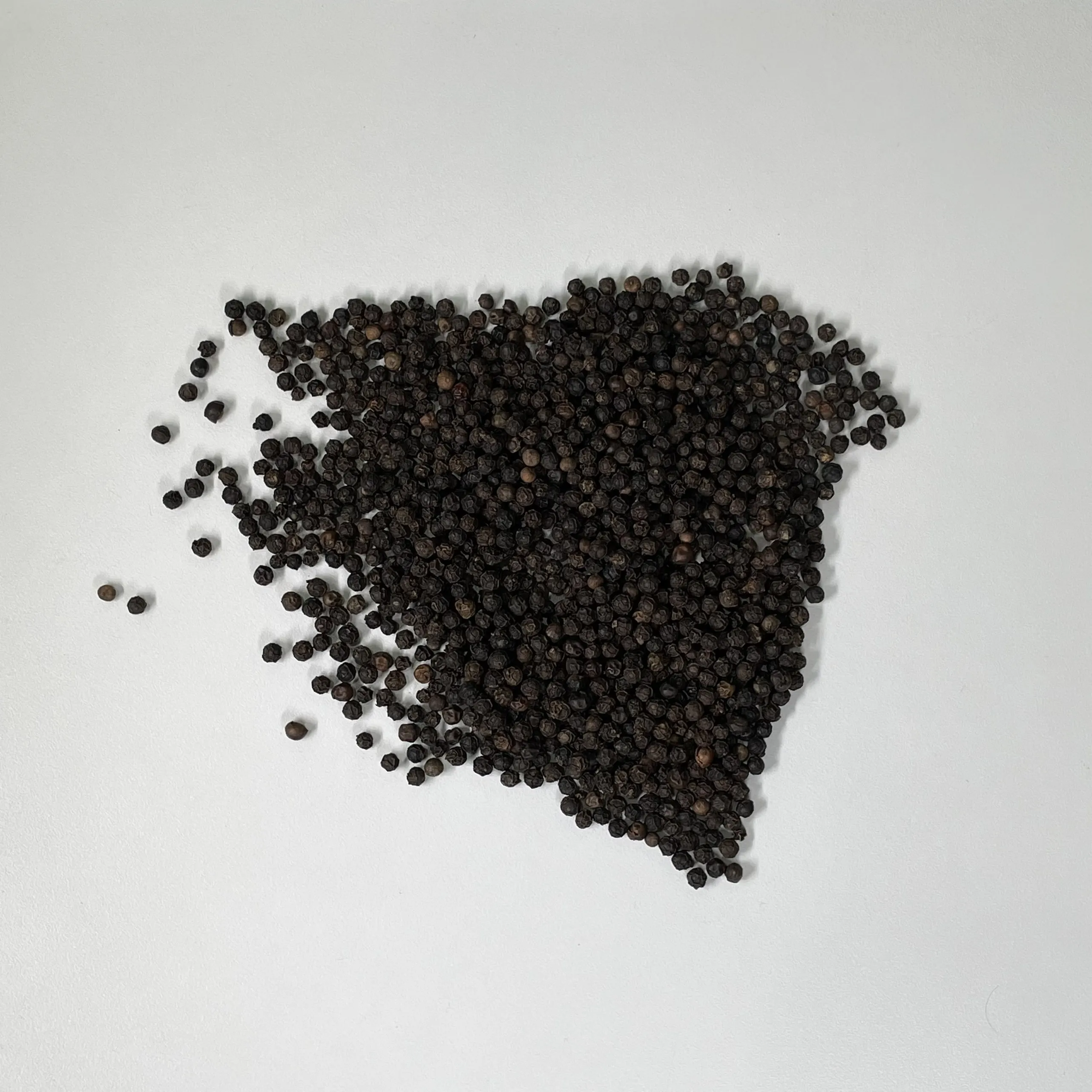 black pepper rate 550GL MC vietnam spices black pepper grinder ceylon souce black pepper 550 gl