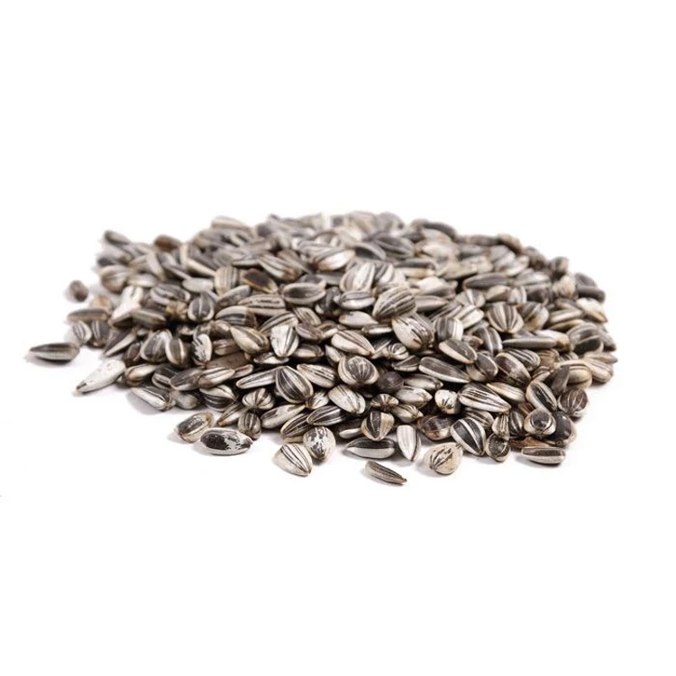 Top quality sunflower seeds 361 sunflower seeds kernels